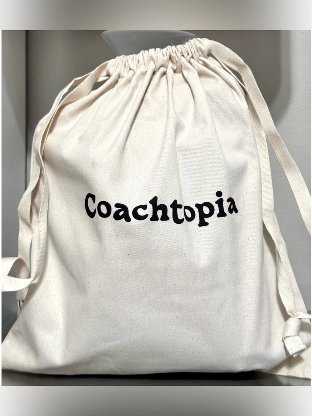 COACH COACHTOPIA Alter/Ego Slouchy Shoulder Bag, RUSSET BROWN